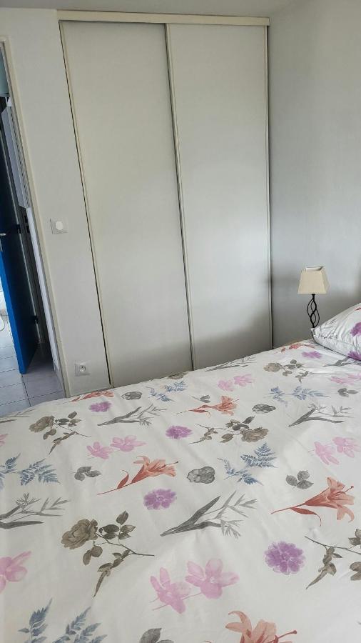 Maison 100M De La Plage Avec Parking Securise Plus Fibre Optique Internet Valras-Plage Kültér fotó